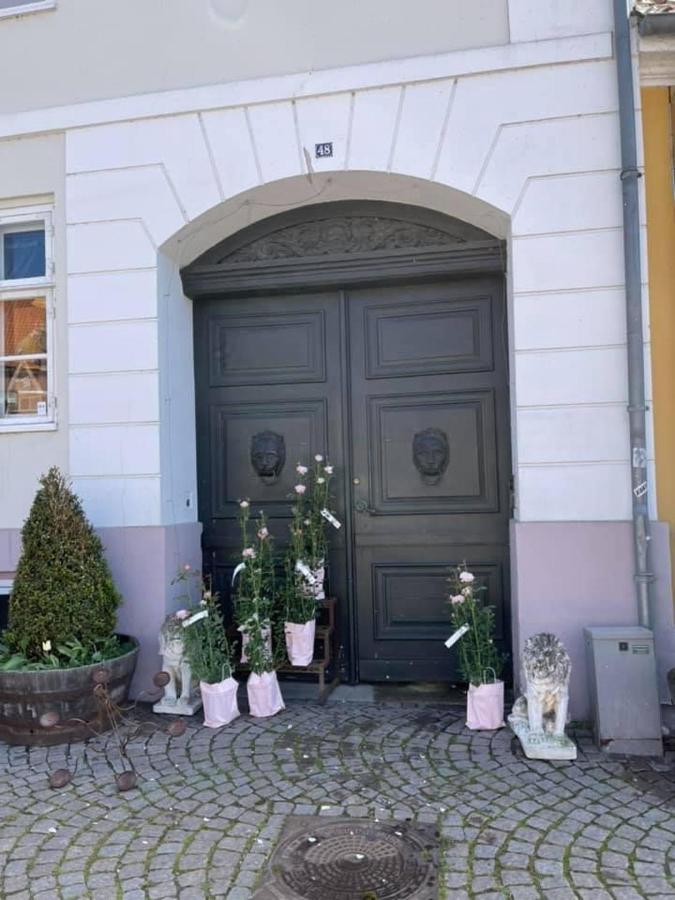Apothekergaarden Stege Stuen Mod Gardhaven Bed & Breakfast Dış mekan fotoğraf
